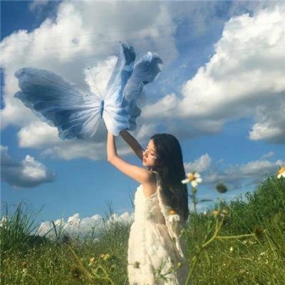 宣告黎明的露之歌排行榜